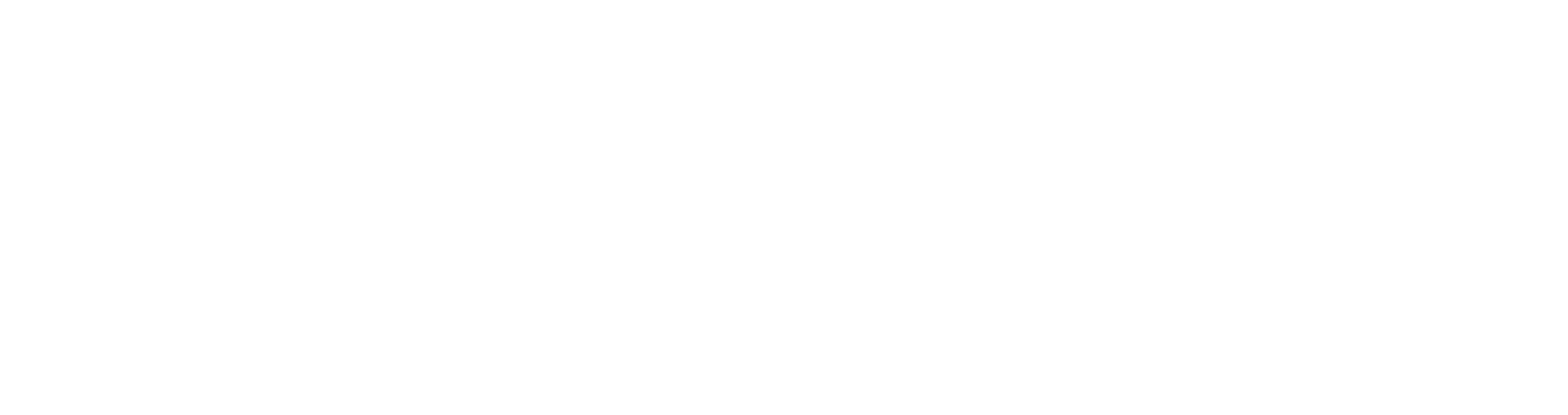 BrexLogo_White